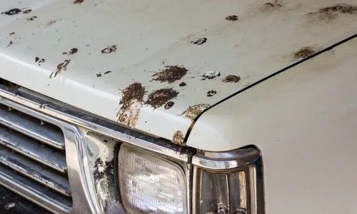 泥や汚れが付着した車のボディ